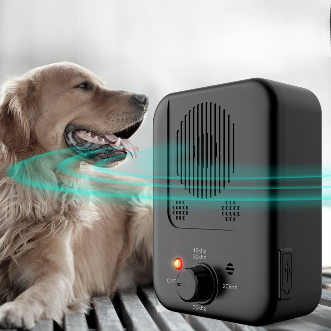 QuietDoggo CalmHouse - QuietDoggo